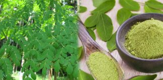 moringa leaf health benefits