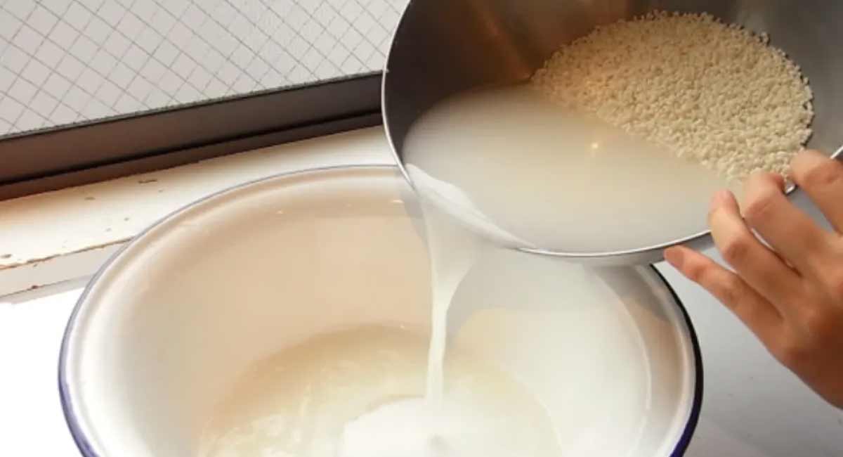 The benefits of using rice without wasting water