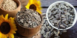 benefits sunflower seeds eating