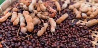health benifits of Tamarind seeds