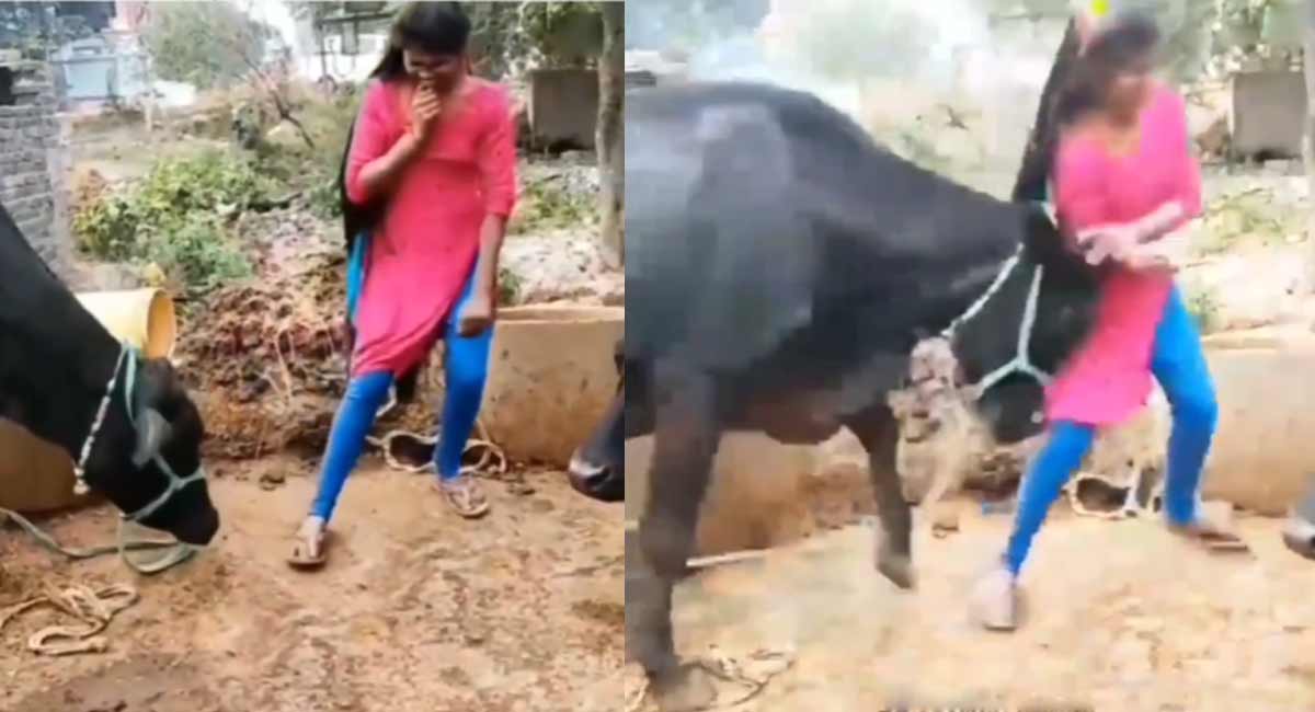 viral video girl dance with buffalo