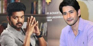 Mahesh babu act guest role in Vijay thalapathy' s movie