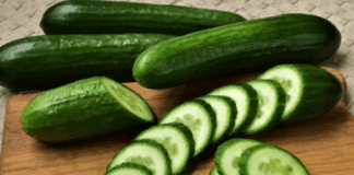 health benefits of keera dosa Cucumber