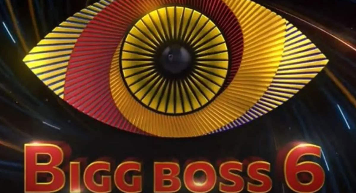 here is the list of 16 contestants in bigg boss telugu 6