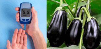 These are the benefits of eating eggplants