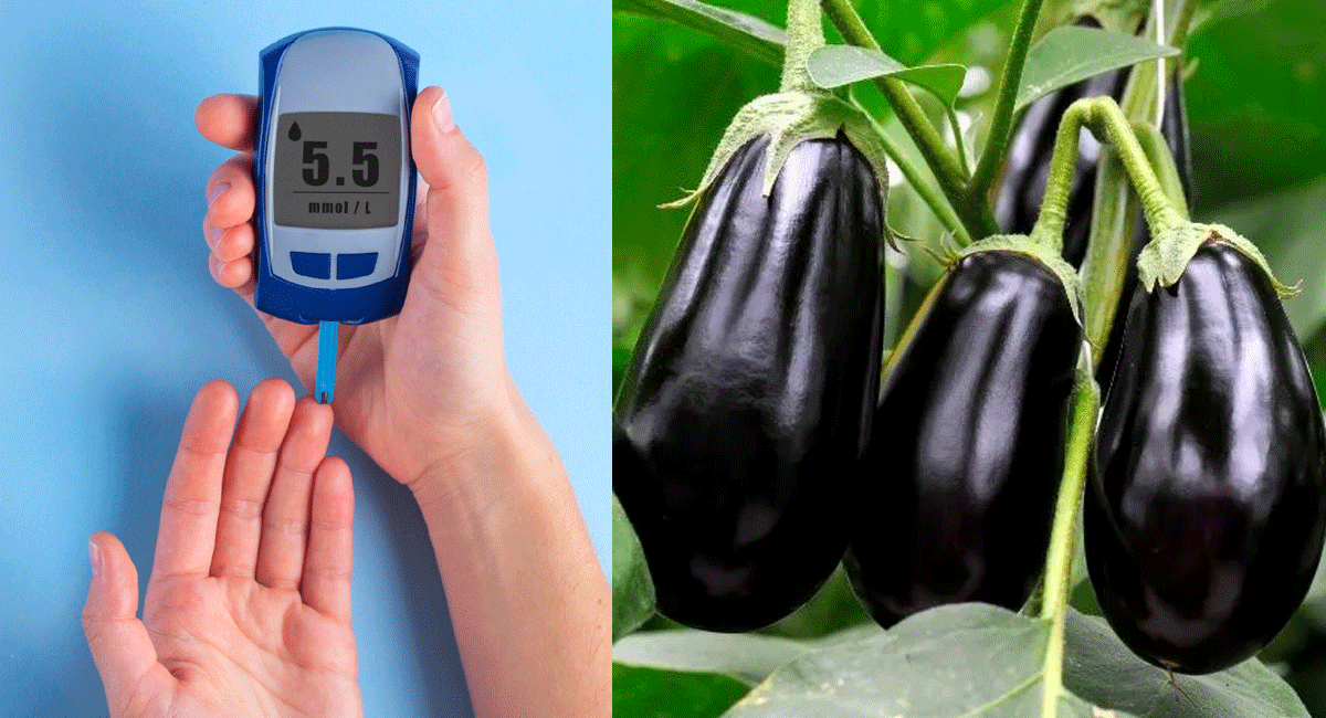 These are the benefits of eating eggplants