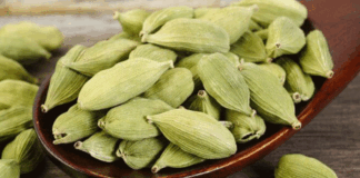 Benefits of eating cardamom