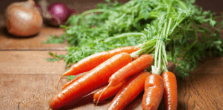 Carrots can be harmful to bones if eaten too much
