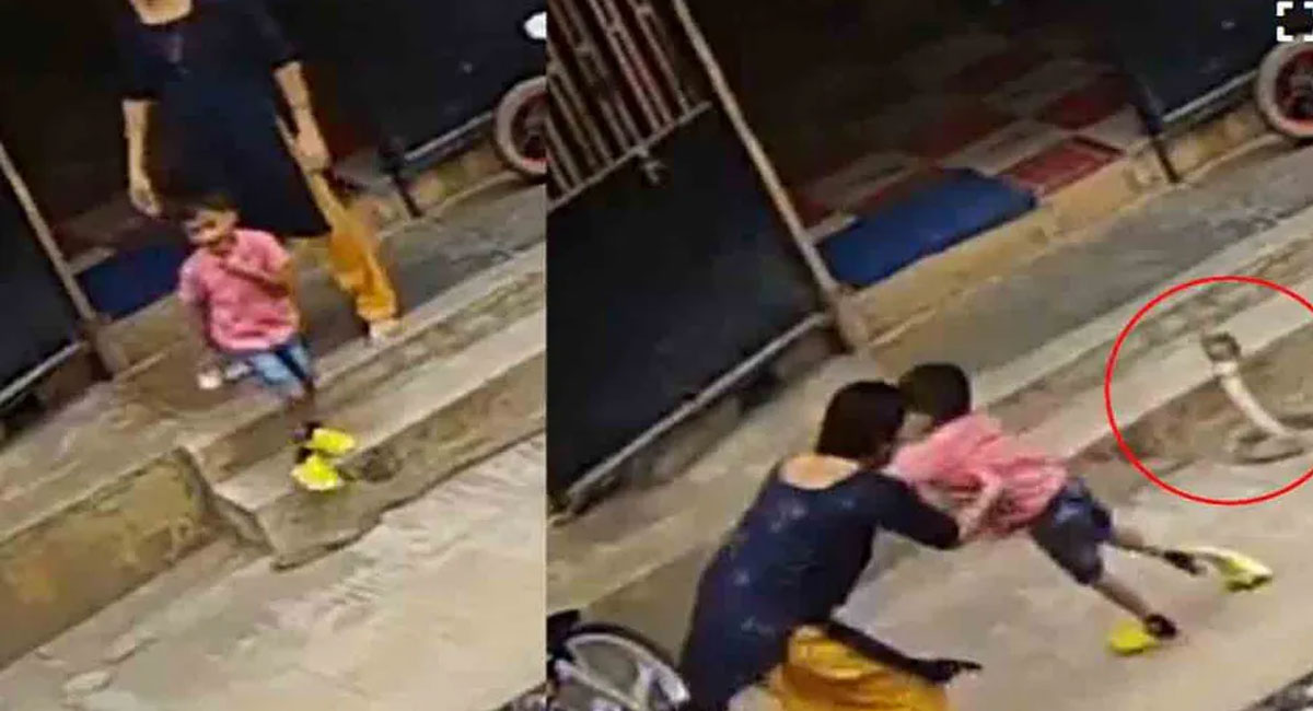 woman saves son from cobra in karnataka video viral
