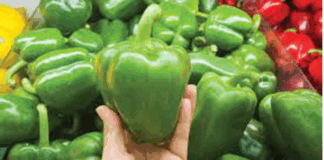 These are the benefits of eating capsicum