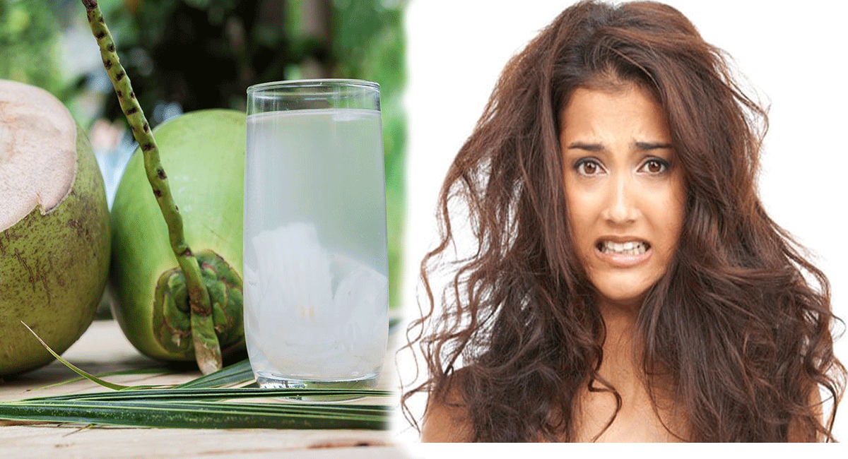 If dandruff and dry hair problems are haunting you, then do this