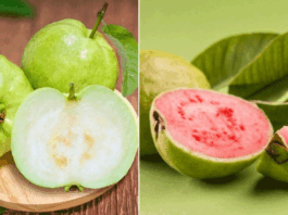 Which of the two is better, white and pink guavas