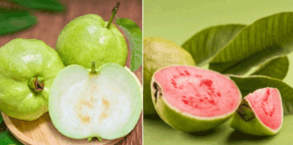 Which of the two is better, white and pink guavas