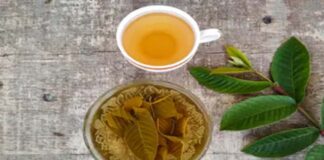 Health Benefits of guava leaf tea drink daily