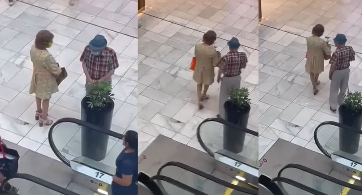 elder couple steals plant in mall video viral
