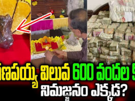 most-expensive-ganapayya-in-the-world-rs-600-crores