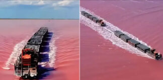 have-you-ever-seen-a-pink-lake-what-is-the-mystery-behind-it